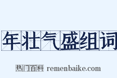 年壮气盛组词是什么意思的图片